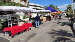 Capd'Agde - Rambla du soleil - 14 Mai 2023 - 11